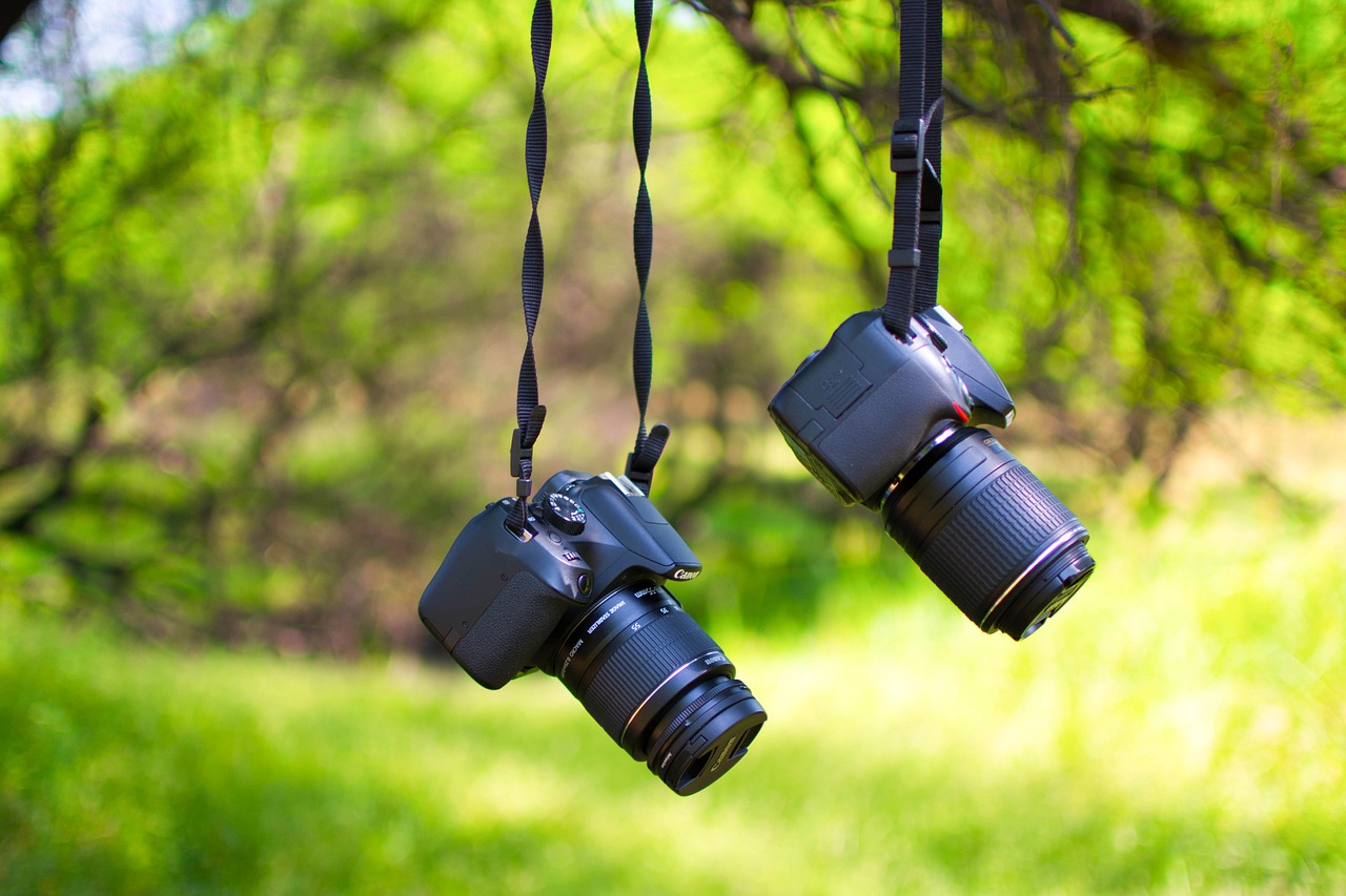 Main-Banner-1
